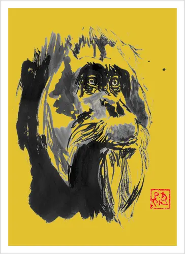 orangutan paper