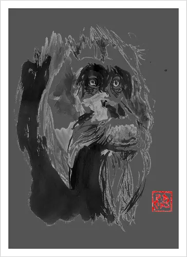 orangutan paper