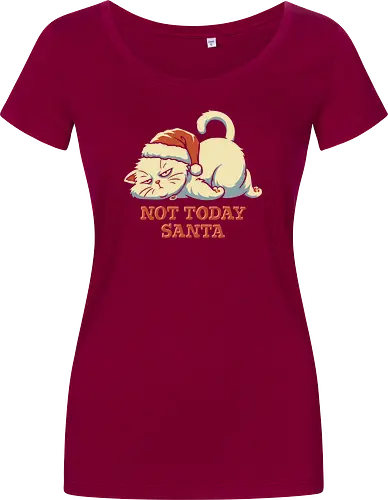 Not Today Santa - Lazy Christmas Cat 