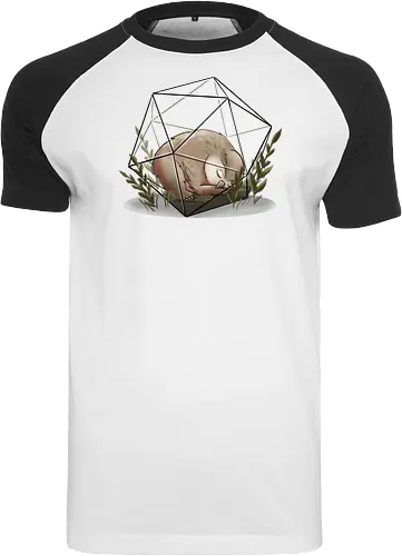 Eulenbär Terrarium
