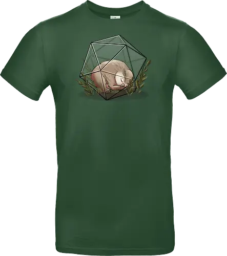 Eulenbär Terrarium