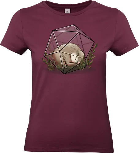 Eulenbär Terrarium - owlbear, Pen and Paper, würfel, eulenbär, Pen and Paper, dungeons and dragons - Standard T-Shirt (Women)