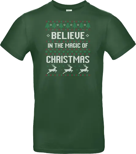 Believe in the Magic of Christmas