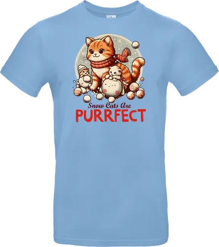 Snow Cats Are PURRFECT