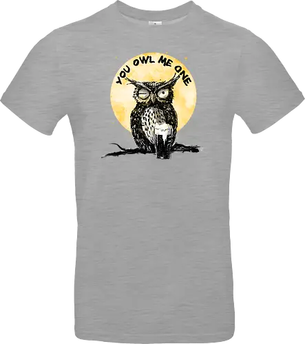 You owl me one