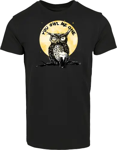 You owl me one
