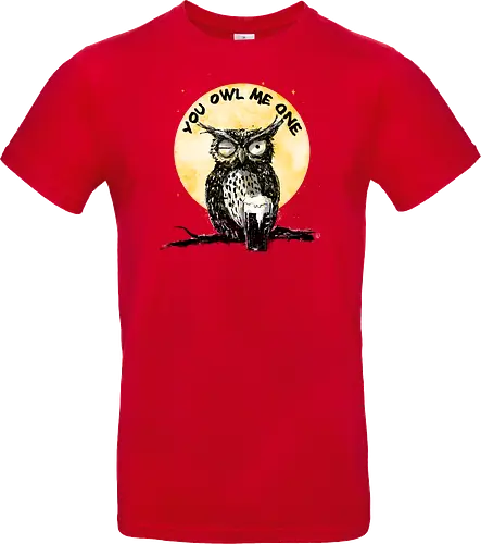 You owl me one