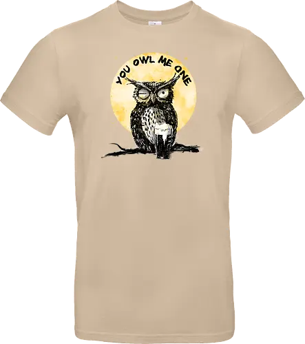 You owl me one