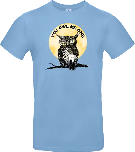 You owl me one