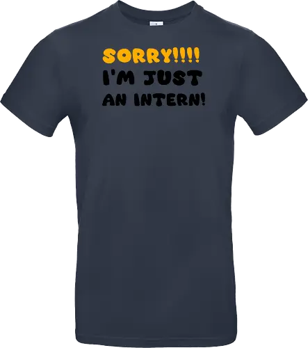 Sorry!!! I'm Just An Intern Art