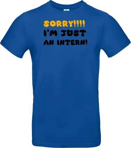 Sorry!!! I'm Just An Intern Art