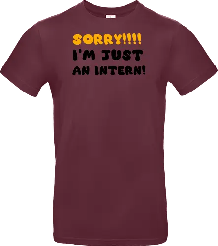 Sorry!!! I'm Just An Intern Art