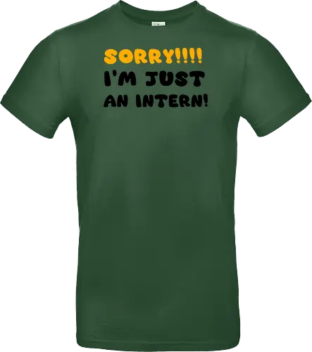 Sorry!!! I'm Just An Intern Art