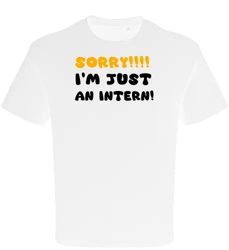 Sorry!!! I'm Just An Intern Art