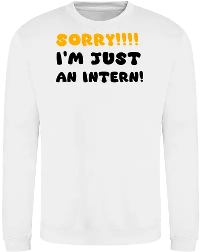 Sorry!!! I'm Just An Intern Art