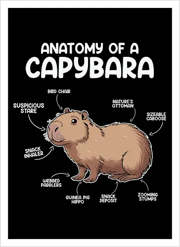 capybara anatomy