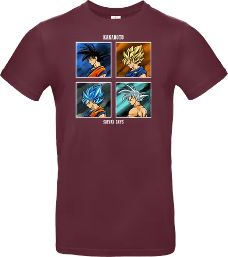 kakaroto form 