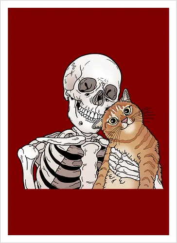 Orange Cat Friend