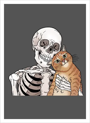 Orange Cat Friend