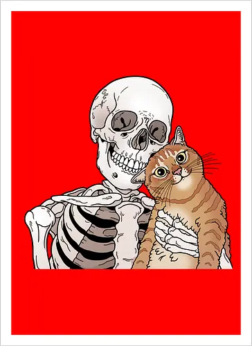 Orange Cat Friend