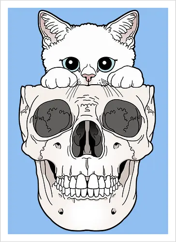 White Kitty & Skull