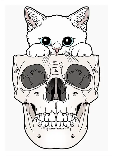 White Kitty & Skull