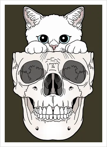 White Kitty & Skull