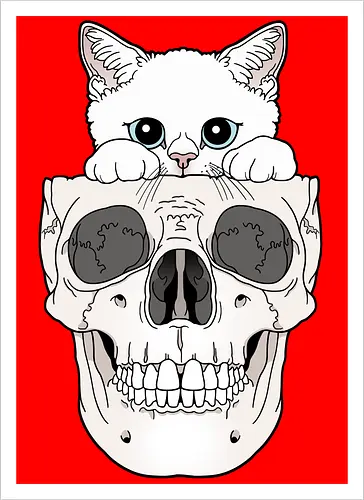 White Kitty & Skull