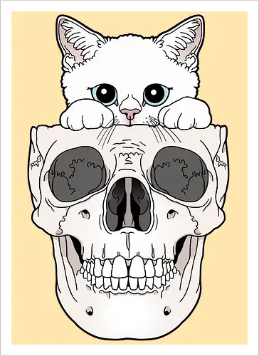 White Kitty & Skull