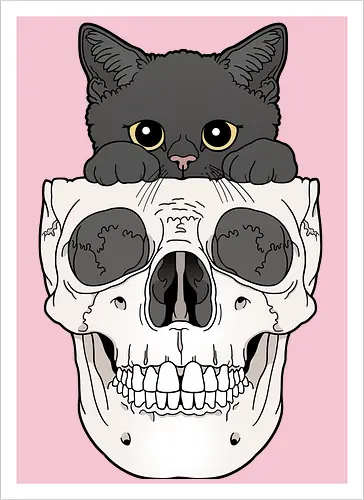 Black Kitty & Skull