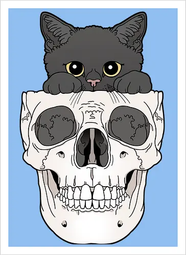 Black Kitty & Skull