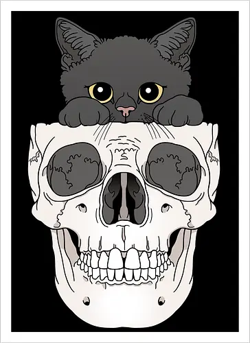 Black Kitty & Skull