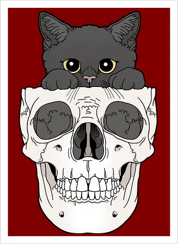 Black Kitty & Skull