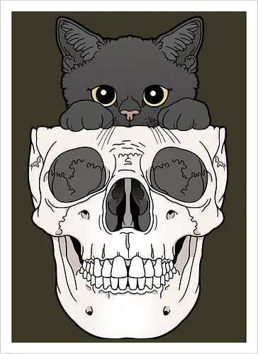 Black Kitty & Skull