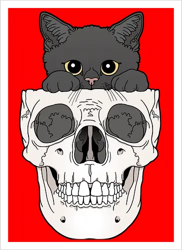 Black Kitty & Skull