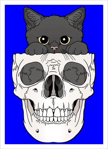 Black Kitty & Skull
