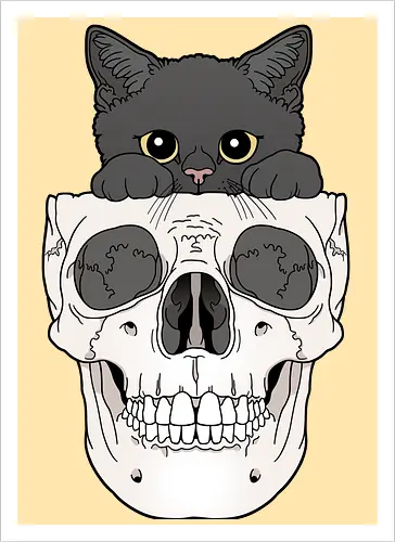 Black Kitty & Skull