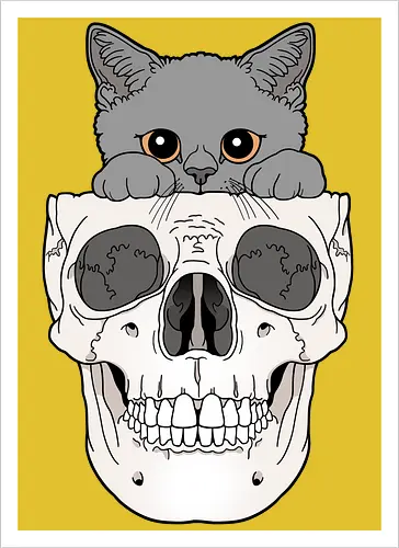 Grey Kitty & Skull