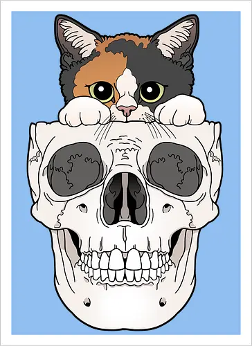 Calico Kitty & Skull