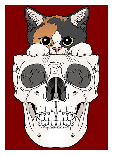 Calico Kitty & Skull