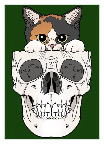 Calico Kitty & Skull