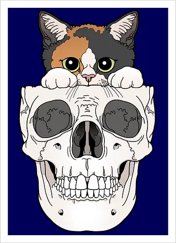 Calico Kitty & Skull