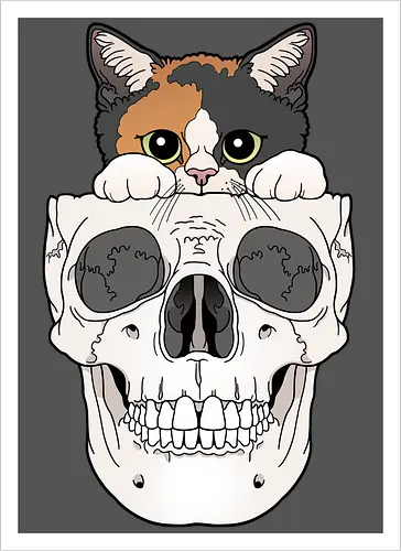 Calico Kitty & Skull