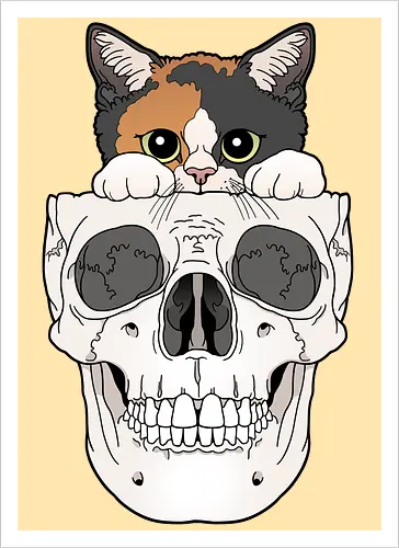 Calico Kitty & Skull