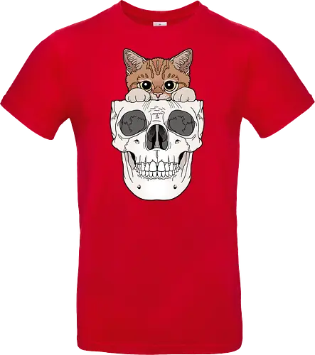 Orange Kitty & Skull