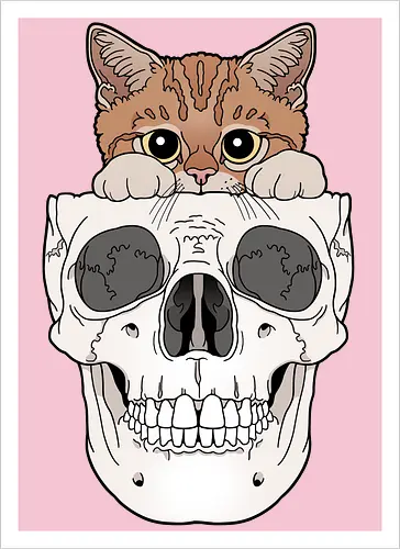 Orange Kitty & Skull