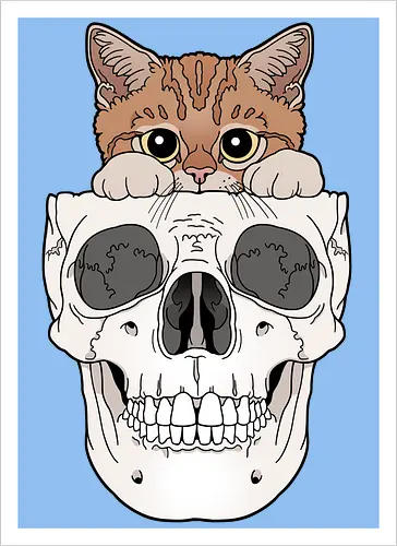 Orange Kitty & Skull