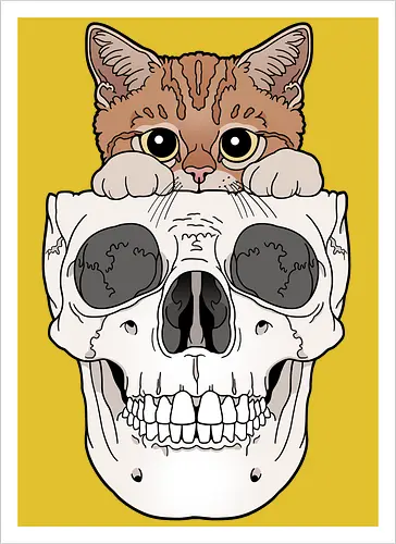 Orange Kitty & Skull