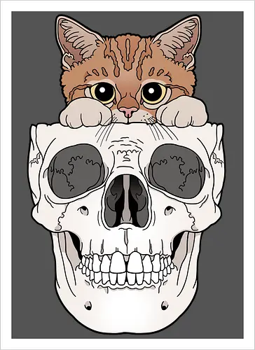 Orange Kitty & Skull