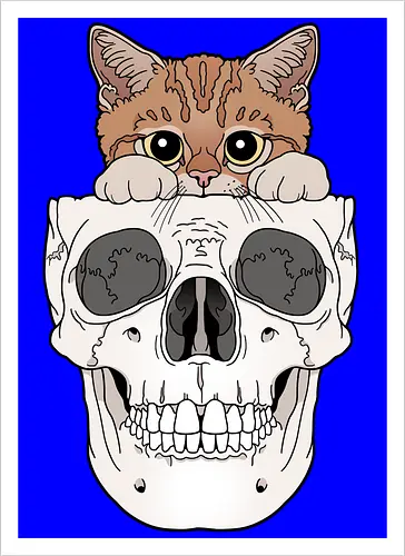 Orange Kitty & Skull